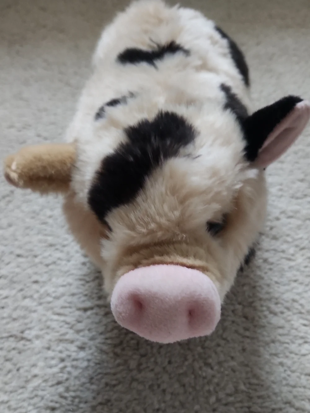 Miyoni Tots Pig Plush Stuffed Animal 10 Inch Black And Tan Like New